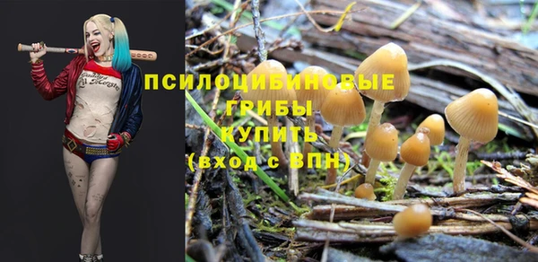 кокаин Каменка