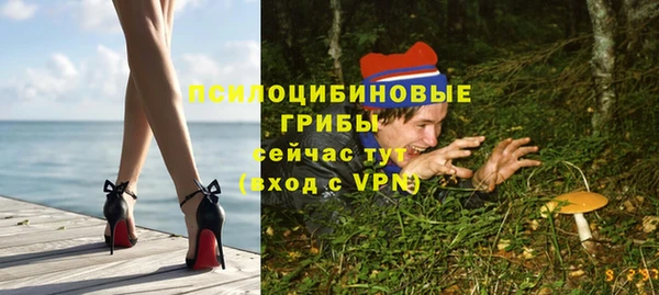 дурь Каменск-Шахтинский