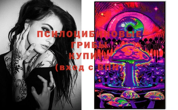 таблы Каменногорск